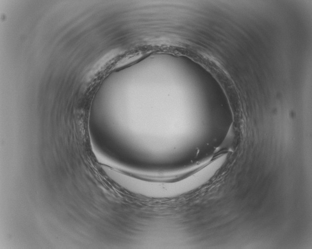 X0000053060968200508011910