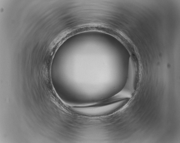 X0000053060969200508011910