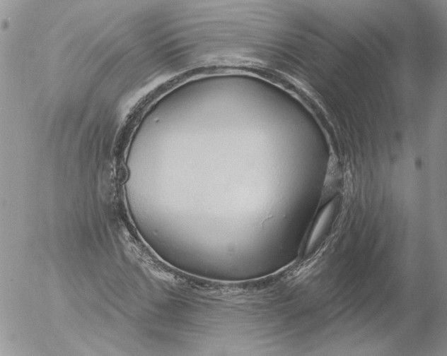 X0000053060971200508011910