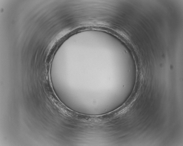 X0000053060974200508011909