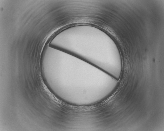 X0000053060980200508011909