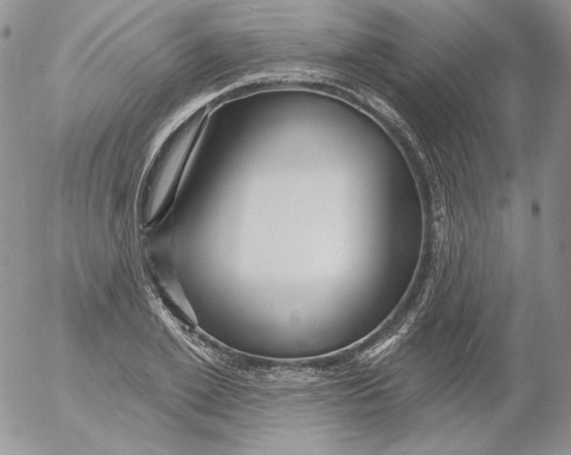 X0000053060981200508011909