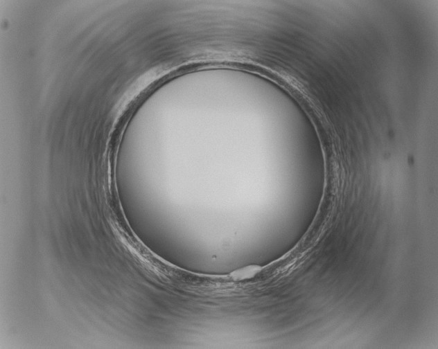 X0000053060982200508011909