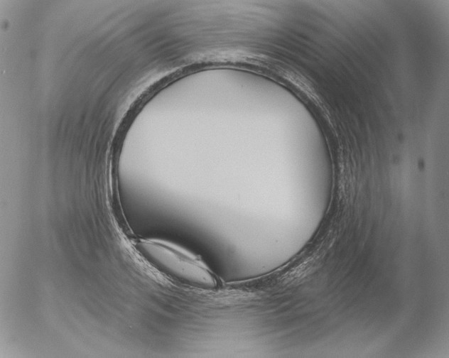 X0000053060984200508011909