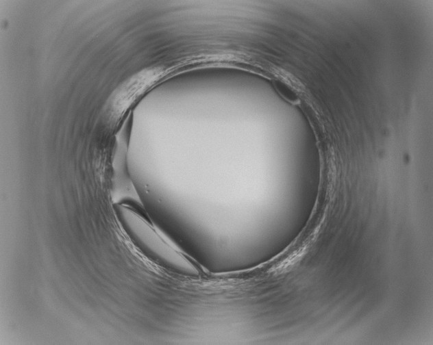 X0000053060985200508011909