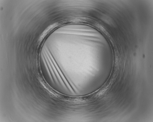 X0000053060986200508011909