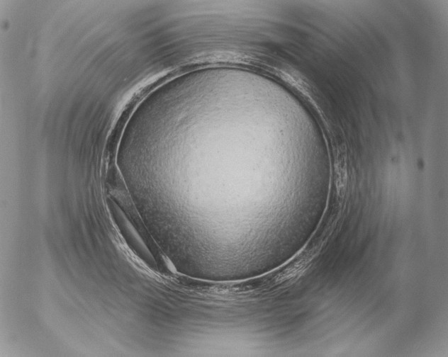 X0000053060987200508011909