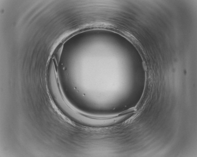 X0000053060989200508011909