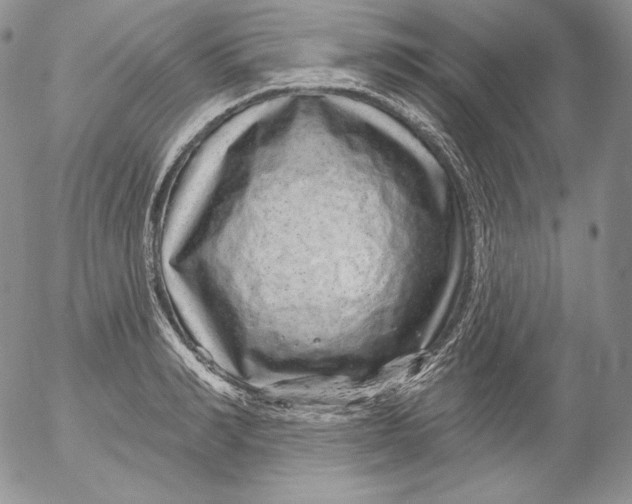 X0000053060990200508011909