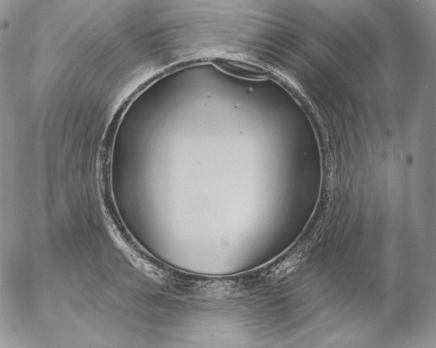 X0000053060991200508011909