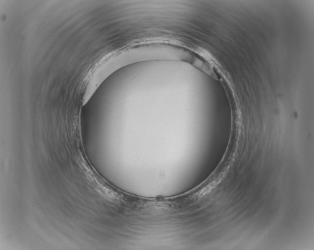 X0000053060993200508011909