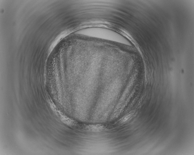 X0000053060994200508011909