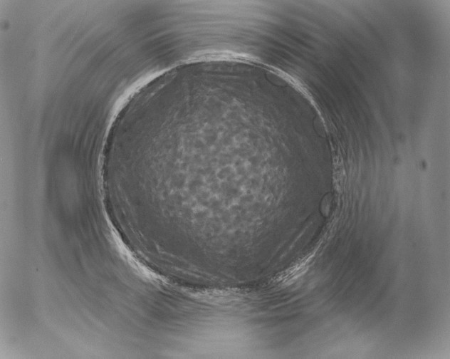 X0000053060995200508011909