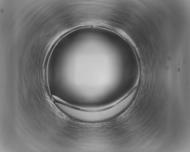 X0000053060996200508011909