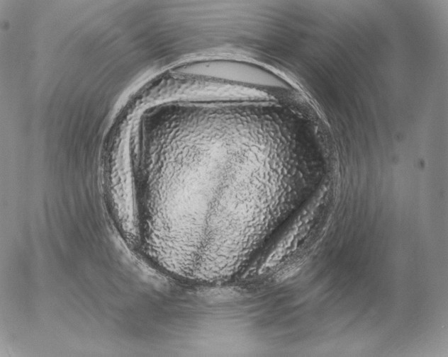 X0000053060998200508011909