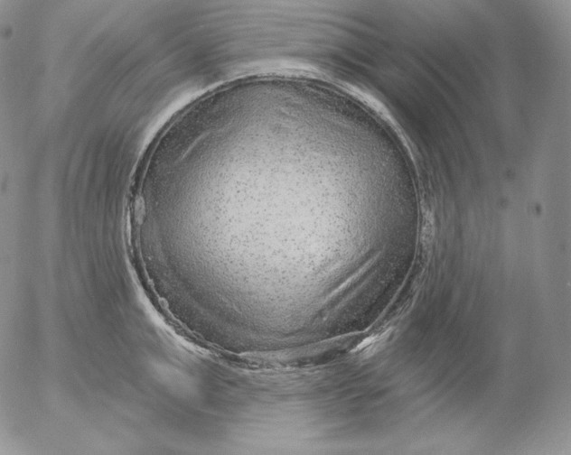 X0000053060999200508011909