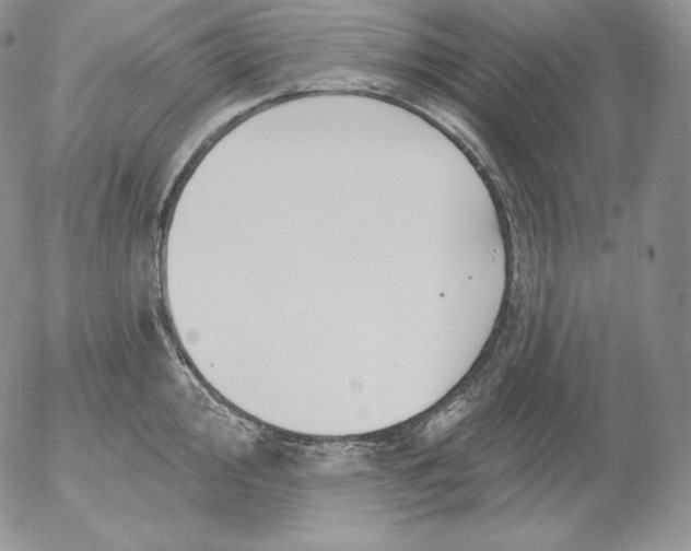 X0000053061000200508011909