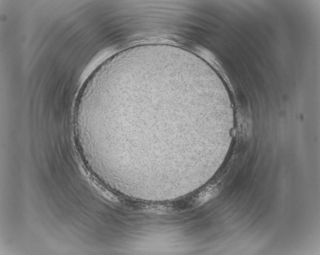 X0000053061002200508011909