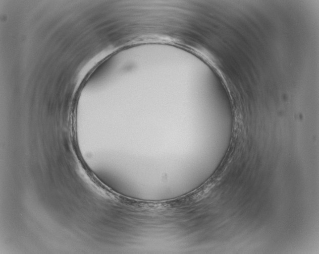 X0000053061003200508011909