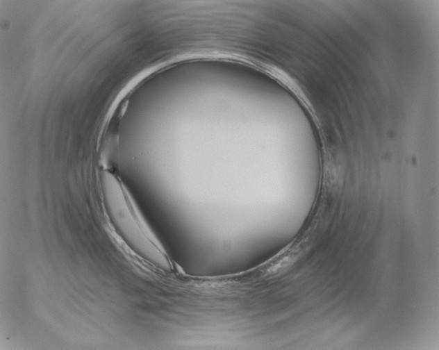 X0000053061004200508011909