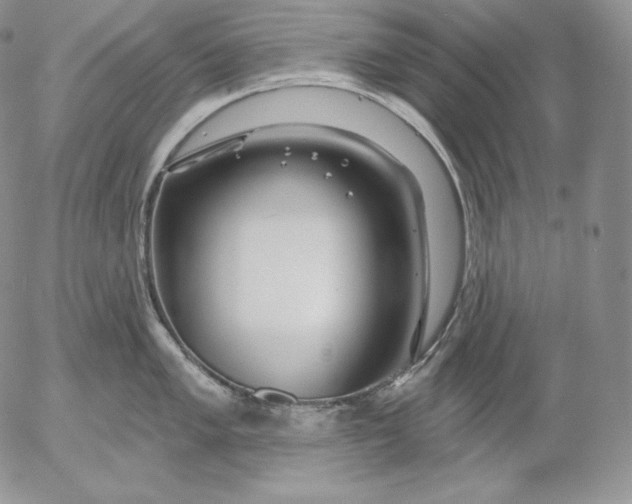 X0000053061005200508011909