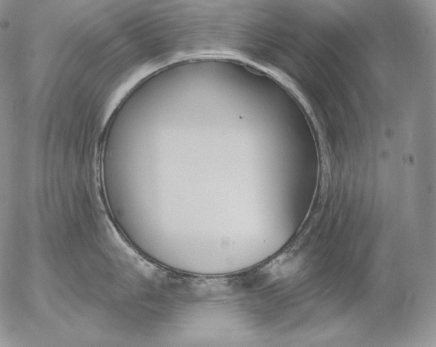 X0000053061006200508011909