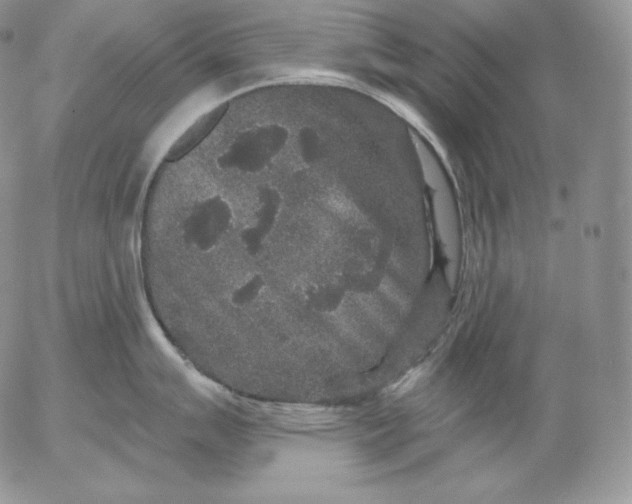 X0000053061007200508011909