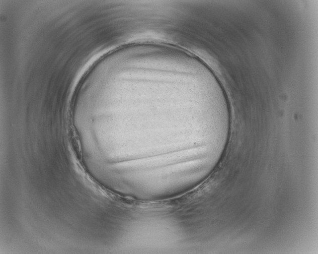 X0000053061008200508011909