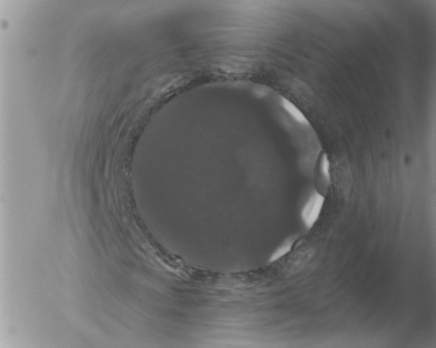 X0000053061009200508011908