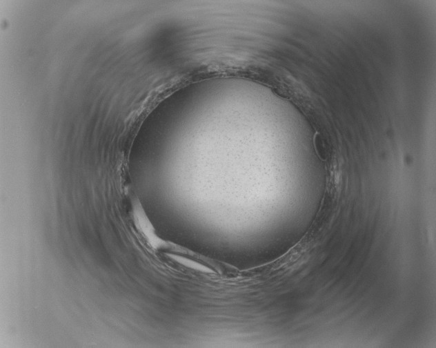 X0000053061012200508011908