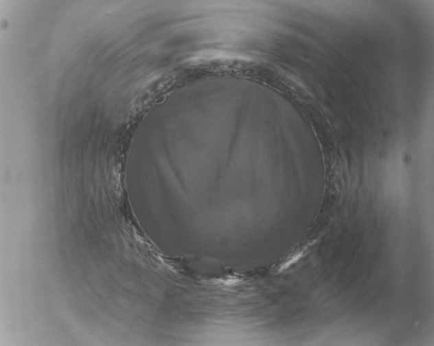 X0000053061013200508011908