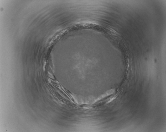 X0000053061014200508011908