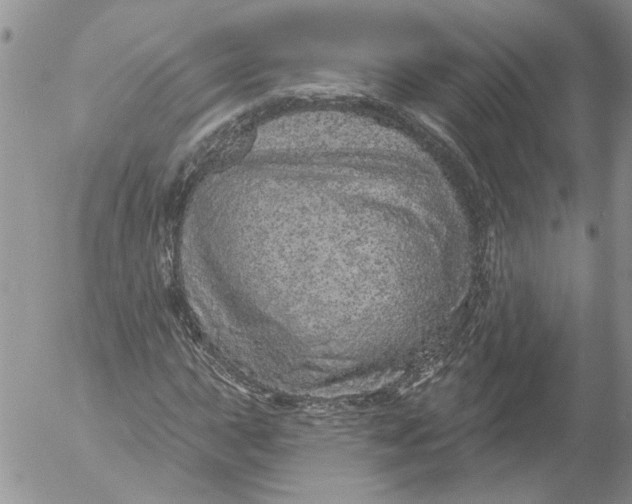 X0000053061015200508011908