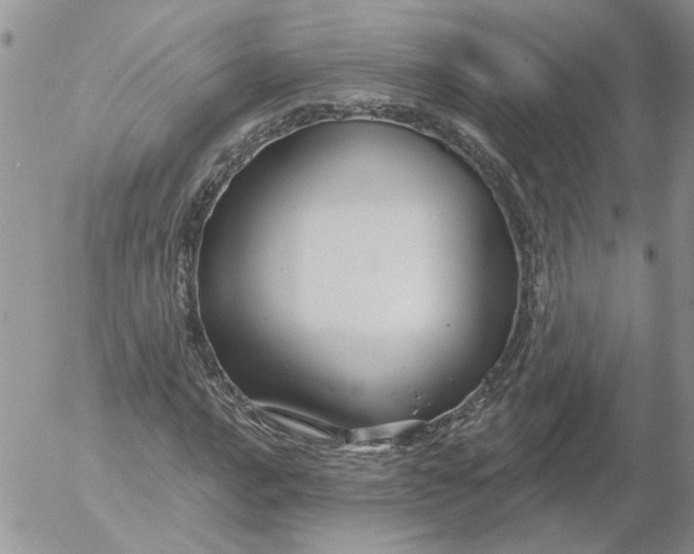 X0000053061016200508011908