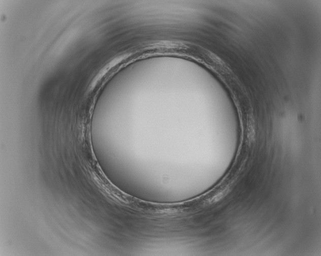 X0000053061017200508011908