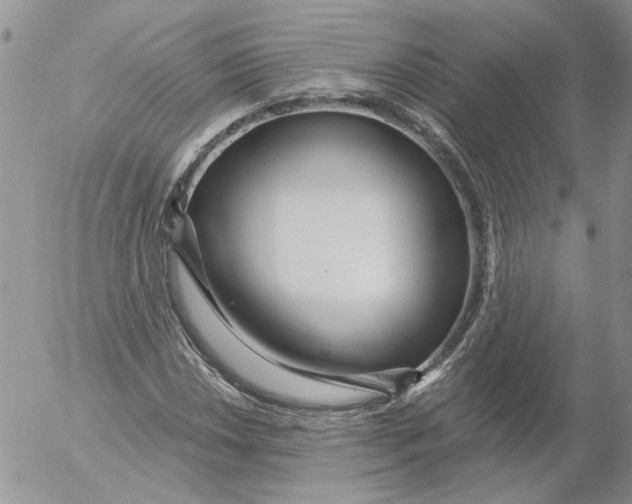 X0000053061018200508011908