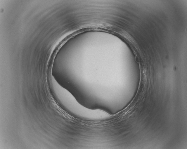 X0000053061020200508011908