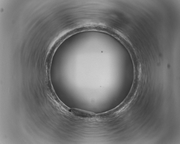 X0000053061021200508011908