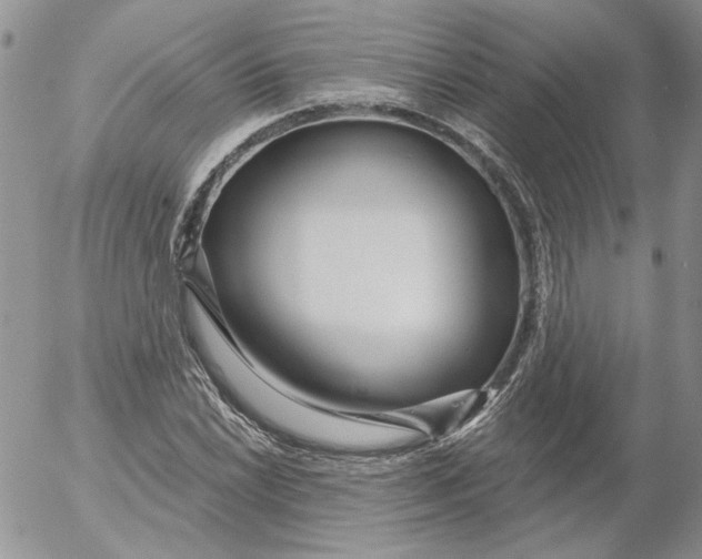 X0000053061022200508011908