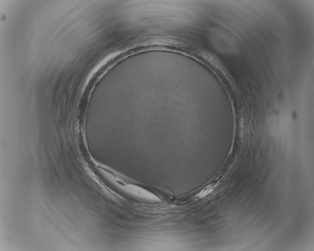 X0000053061024200508011908