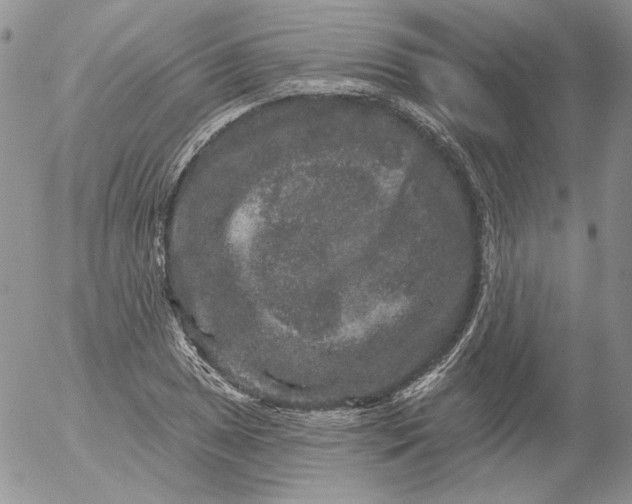 X0000053061025200508011908