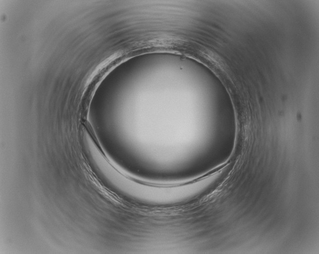 X0000053061026200508011908