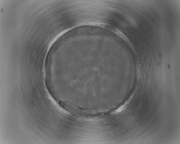 X0000053061028200508011908