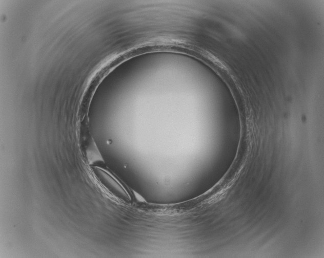 X0000053061029200508011908