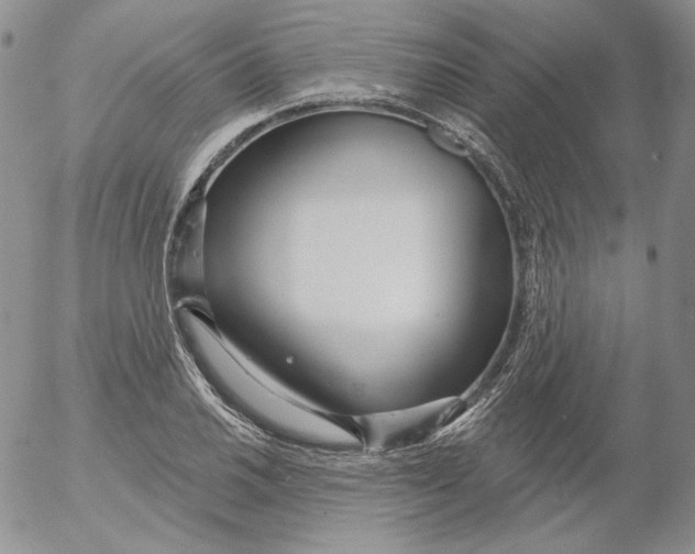 X0000053061030200508011908