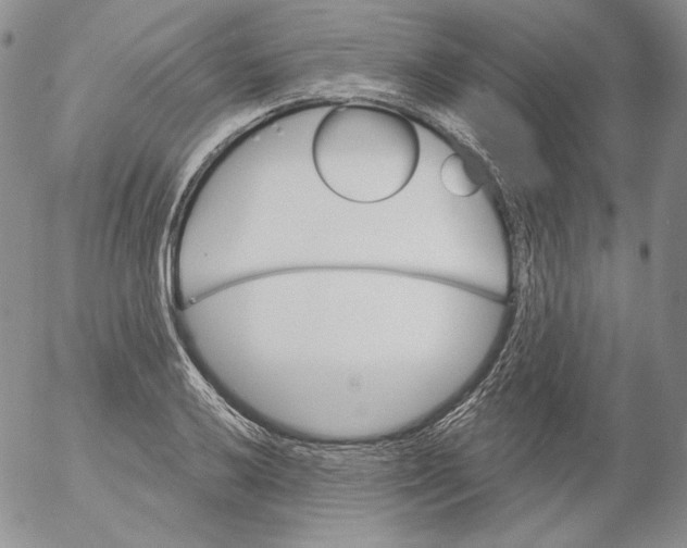 X0000053061032200508011908