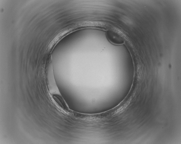 X0000053061033200508011908