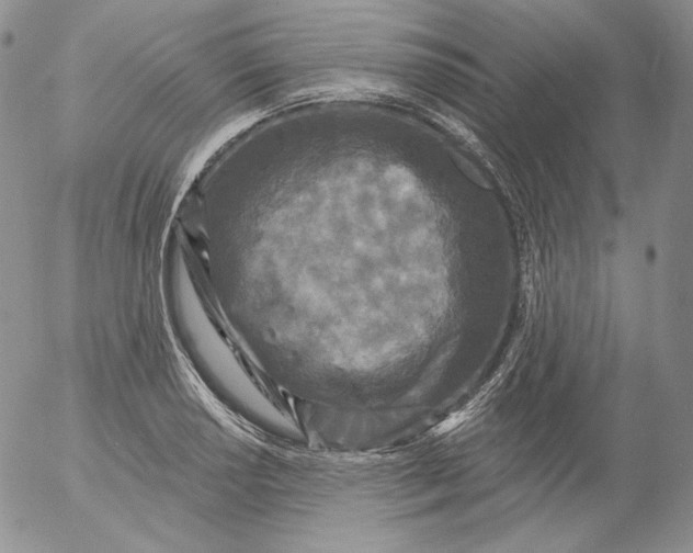 X0000053061034200508011909