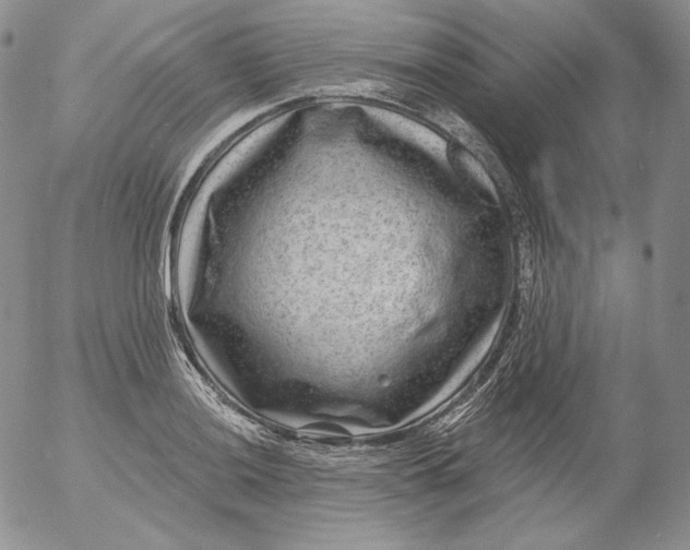 X0000053061036200508011909