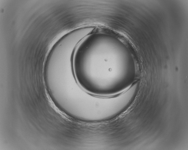 X0000053061038200508011909